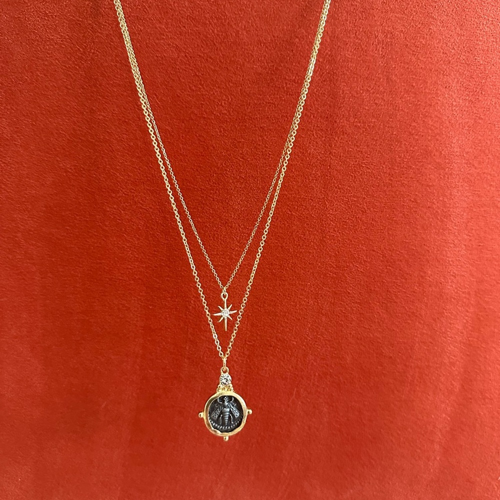Double Chain & Charms Necklace - Picture 2 of 6